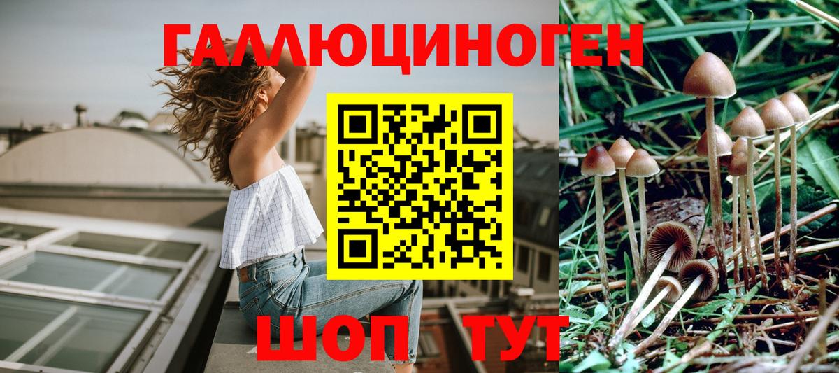 Галлюциногенные грибы ЛСД Сердобск
